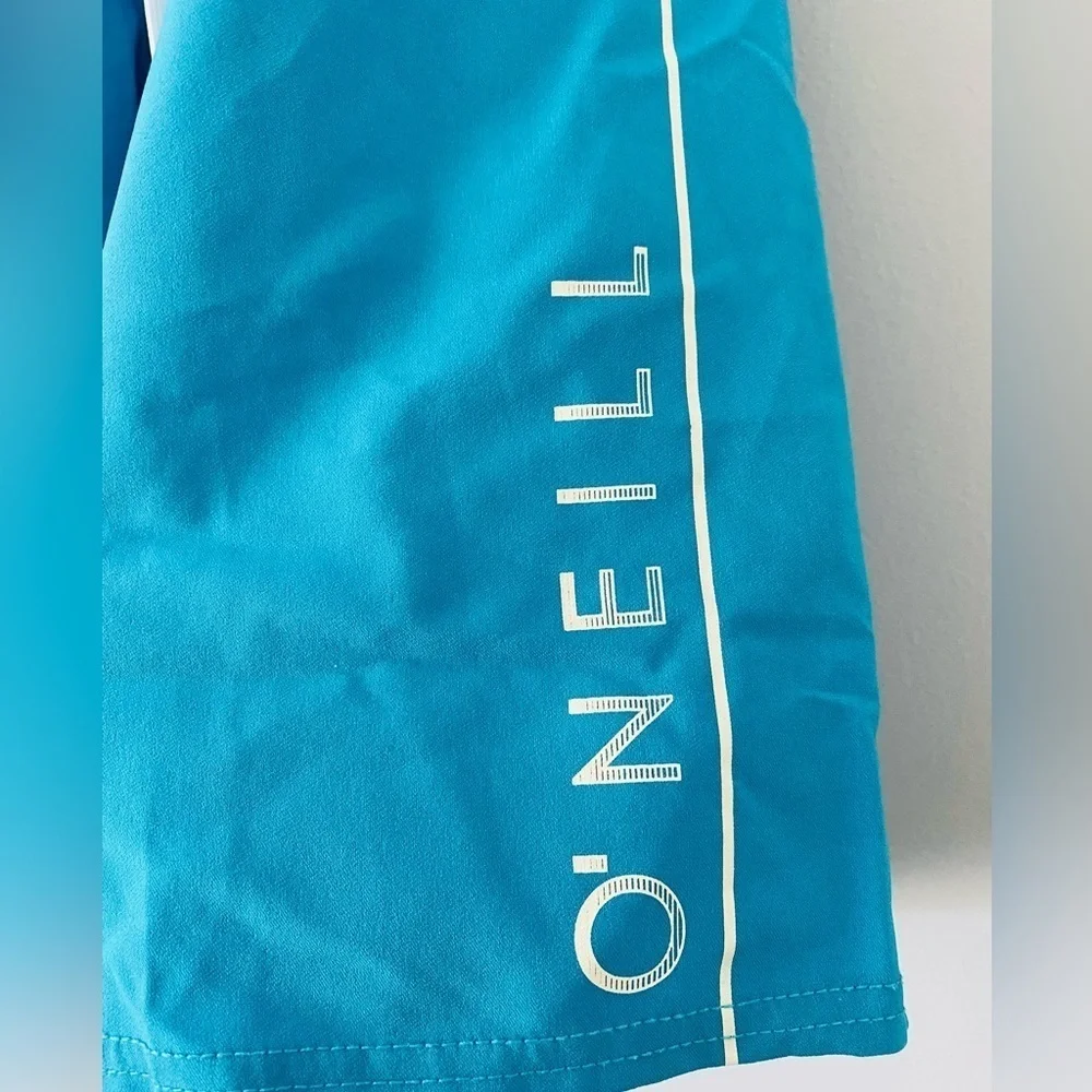 O'Neill Santa Cruz Stretch Men's Boardshorts - Blue, Size 29